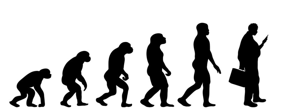 Vector silhouette of evolution of man.
