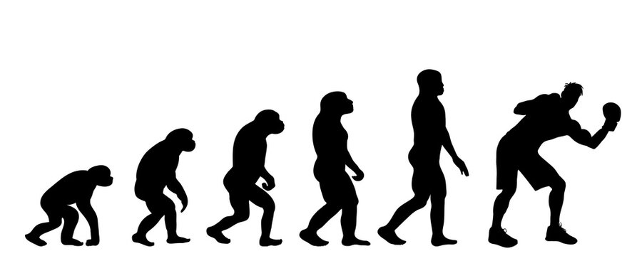 Vector silhouette of evolution of man.