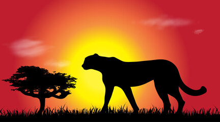 Vector silhouette of cheetah at savana.
