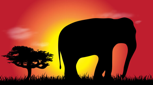 Vector silhouette of elephant at savana.