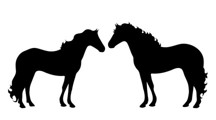 Vector silhouette of horse on white background.