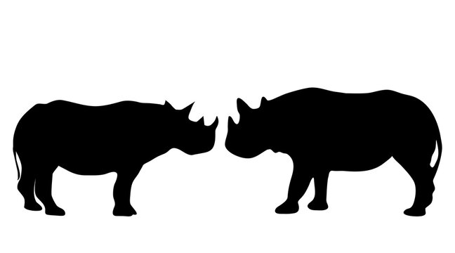 Vector silhouette of rhinoceros on white background.