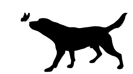 Vector silhouette of dog with butterfly on white background.