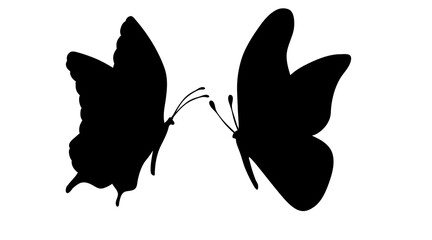 Vector silhouette of butterflly on white background.