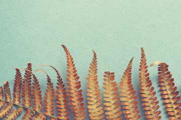 autumn background