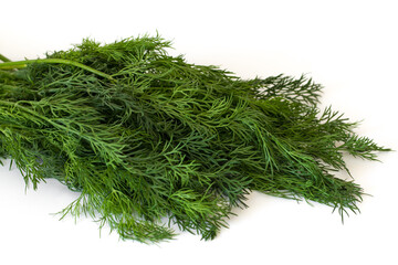 Bundle of fresh green dill isolated on white background