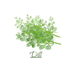 Fresh twigs of fresh tasty dill in a realistic style, isolated on a white background