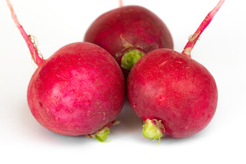 Three red radish isolated on white background