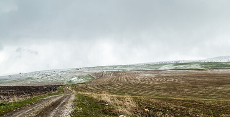 Snow in freshly sown wheat fields