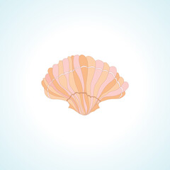 Seashell drawing