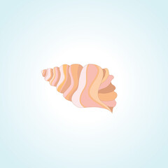 Seashell drawing