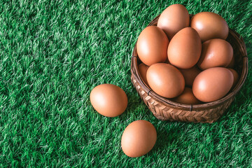 Eggs in wooden basket on green grass. Free space for text