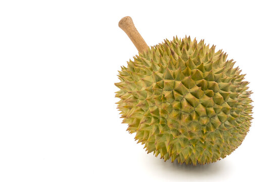 King of fruits, Durian on white background.