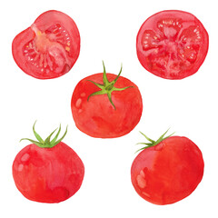 watercolor tomato set