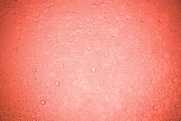 Rain droplets on red glass background, Water drops on glass.