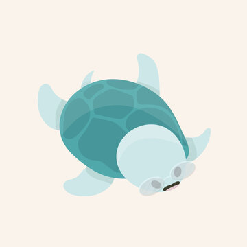 Funny and cute happy turtle.
