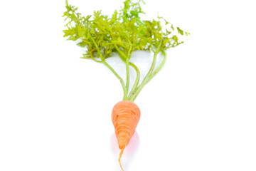carrots isolated