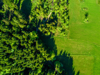 Aerial view of green landscape