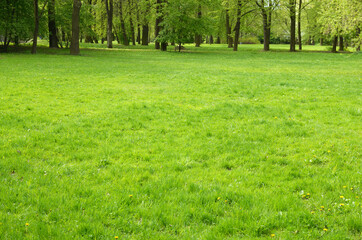 The natural landscape in the spring.
