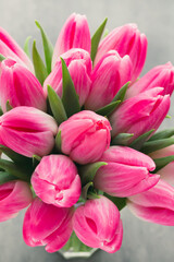 Fototapeta premium More tulip on the grey background.