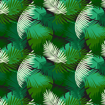 Seamless pattern tropical palm leaves on a black background. Vector tropic wallpaper design.