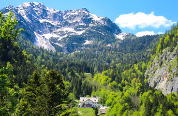 Fototapeta na wymiar Hallstat - beautiful Alpine paradise village in Austria