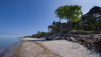 Einsamer Ostsee Strand am Darsswald