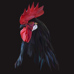 Rooster low poly design. Triangle vector illustration. - 157301940