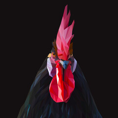Rooster low poly design. Triangle vector illustration.