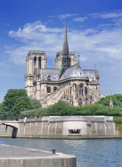 Fototapeta na wymiar cathédrale Notre Dame de Paris- France
