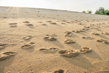 Footprints on the beach
