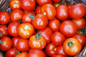 fresh tomatoes texture