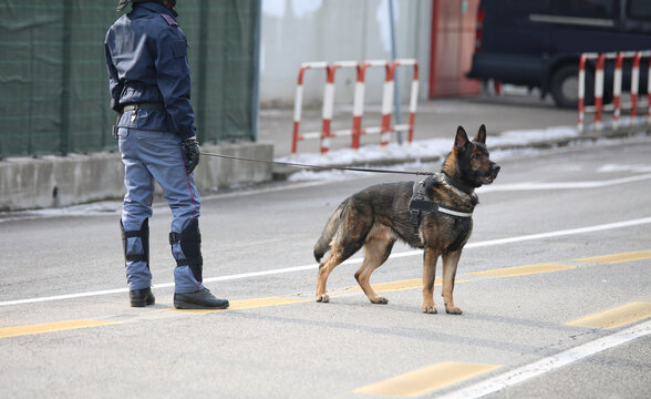 Dog Canine Unit of the police during the inspection of the area
