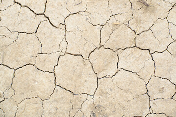 Cracked earth