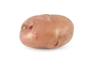 Potato tuber