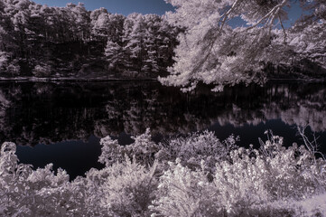 Panele Szklane  Piękny fałszywy kolor surrealistyczny obraz krajobrazu w podczerwieni z jeziora i otaczającego lasu
