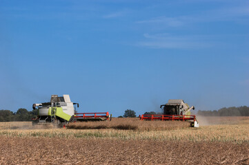 Fototapeta premium HARVERSTERS ON THE FIELD