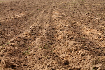 plowed field in early spring