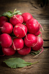 Large bunch of fresh radish.