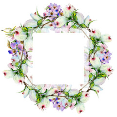 Wildflower dogwood flower frame in a watercolor style isolated.