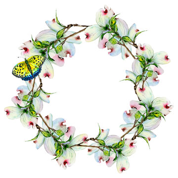 Wildflower Dogwood Flower Wreath In A Watercolor Style Isolated.