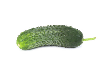 Cucumber