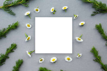 Creative layout of wild flowers and leaves with a paper card. He lay flat. The concept of nature on a gray background.