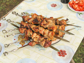 Grilled kebabs on skewers