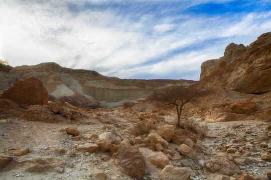 Arid Stone Desert