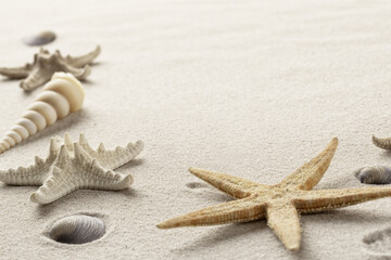 Fototapeta na wymiar summer vacation beach with sea shells and star fish