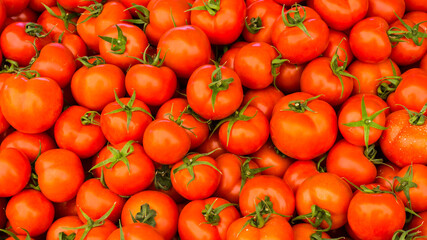 group of red ripe tomatoes