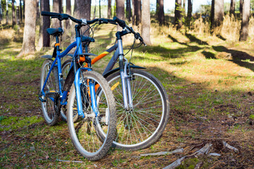 Fototapeta na wymiar A pair of bicycles in the park 