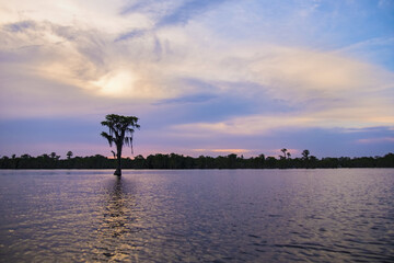 Obraz premium Banks Lake Wildlife Refuge, Lakeland, GA