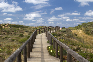 Fototapeta na wymiar Wooden walkway leading to Bordeira Beach, Algarve, Portugal